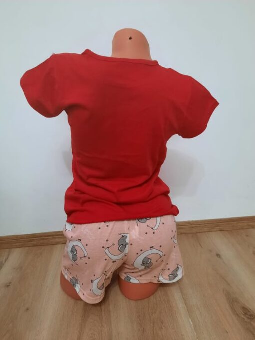 Pijama pentru Femei, 2 piese, Bumbac 100% - imagine 2